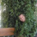 ���������� ���������, ���� ������� ������, 50 ���, ������������ 