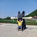 ���������� ������-��-����, ���� ������� ������, 42 ����, ������������ ��� ������, ����� � ���������, c�������� ���������