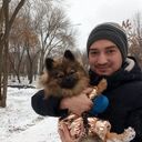 ���������� ������, ���� ������� �������, 39 ���, ������������ ��� ������, ����� � ���������