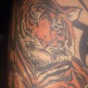 ���������� ������� ��������, ���� ������� �������, 39 ���, ������������ ��� ������, ����� � ���������, c�������� ���������