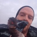 ���������� ���������, ���� ������� �����, 42 ����, ������������ ��� ������, ����� � ���������