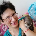  ,   , 52 ,   ,   