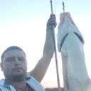 ���������� ����, ���� ������� Febor, 39 ���, ������������ ��� ������, ����� � ���������, c�������� ���������