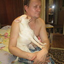  ,   , 50 ,  