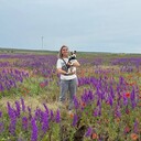 ���������� ������, ���� ������� ������, 40 ���, ������������ ��� ������, ����� � ���������, c�������� ���������, ���������