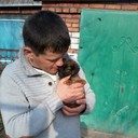 ���������� ���������, ���� ������� ����, 47 ���, ������������ ��� ������, ����� � ���������, c�������� ���������