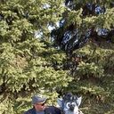 ���������� ��������, ���� ������� ����, 41 ���, ������������ ��� ������, ����� � ���������