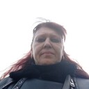 ���������� ����������, ���� ������� ���, 43 ����, ������������ ��� ������, ����� � ���������, c�������� ���������