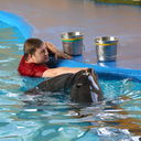  ,   , 44 ,   ,   , c 