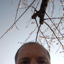  ,   , 44 ,     , c 