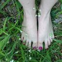  ,   Elfika, 34 ,   