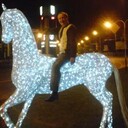 ���������� ���������, ���� ������� �������, 47 ���, ������������ ��� c�������� ���������