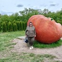 ���������� �������, ���� ������� ��������, 69 ���, ������������ ��� c�������� ���������, ���������