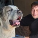 ���������� ���������, ���� ������� ������, 40 ���, ������������ ��� ������, ����� � ���������