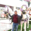  ,   , 47 ,   ,   