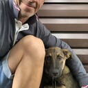 ���������� �����������, ���� ������� ������, 53 ����, ������������ ��� ������, ����� � ���������, c�������� ���������