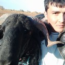 ���������� ������, ���� ������� ������, 31 ���, ������������ ��� ������, ����� � ���������, c�������� ���������