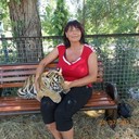 ���������� ������, ���� ������� ��������, 60 ���, ������������ 