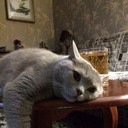 ���������� ������, ���� ������� ���������, 38 ���, ������������ ��� ������, ����� � ���������, c�������� ���������