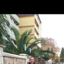 ���������� ��������, ���� ������� ��������, 32 ����, ������������ ��� ����� � ���������, c�������� ���������