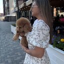 ���������� ����, ���� ������� ������, 27 ���, ������������ ��� ������, ����� � ���������, ���������