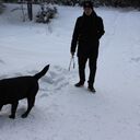 ���������� ������������, ���� ������� ����, 30 ���, ������������ ��� ������, ����� � ���������