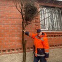  ,   , 63 ,   ,   , c 