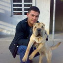  ,   Avto, 41 ,   ,   , c 