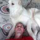 ���������� �����, ���� ������� ��������, 41 ���, ������������ ��� c�������� ���������