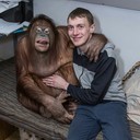 ���������� �����, ���� ������� ���������, 28 ���, ������������ ��� ����� � ���������, c�������� ���������, ���������