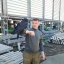 ���������� ������, ���� ������� ����, 50 ���, ������������ ��� ������