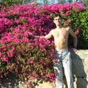  -,   Elsufiev, 50 ,     , c 