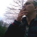  ,   Bengal Tiger, 38 ,  