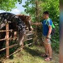 ���������� ������, ���� ������� ����, 34 ����, ������������ ��� ������, ����� � ���������, c�������� ���������