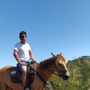  ,   , 29 ,   ,   , c , 