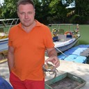 ���������� ������ ��������, ���� ������� �����, 50 ���, ������������ ��� ������, ����� � ���������, c�������� ���������