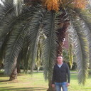  -,   , 36 ,   ,   , c 