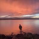 ���������� ���������, ���� ������� ����������, 36 ���, ������������ ��� ������, ����� � ���������