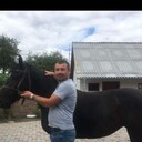 ���������� ����, ���� ������� Aleksandr, 41 ���, ������������ ��� c�������� ���������