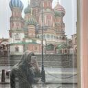 ���������� ������, ���� ����� ����, 25 ���, ������������ ��� ����� � ���������