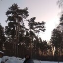 ���������� ����, ���� ������� ������, 29 ���, ������������ ��� ������, ����� � ���������