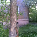 ���������� ����, ���� ������� �����, 37 ���, ������������ ��� ������