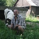 ���������� �����-���������, ���� ������� ����, 65 ���, ������������ ��� ������, ����� � ���������, c�������� ���������