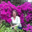  ,   , 54 ,  