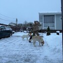  -,   , 41 ,   ,   , c , 