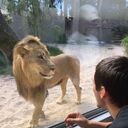 ���������� ����, ���� ������� ������, 34 ����, ������������ ��� ������, ����� � ���������, c�������� ���������, ���������