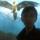 ���������� ���������, ���� ������� ������, 28 ���, ������������ ��� ������, ����� � ���������, c�������� ���������