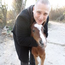 ���������� ��������, ���� ������� ���������, 45 ���, ������������ ��� ������, ����� � ���������, c�������� ���������