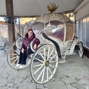 ���������� �����������, ���� ������� �����, 56 ���, ������������ 