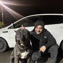 ���������� ���������, ���� ������� Sev, 36 ���, ������������ ��� ������, ����� � ���������, c�������� ���������, ���������